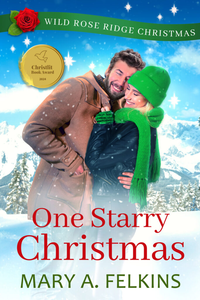 One Starry Christmas