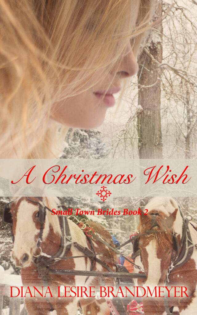 A Christmas Wish