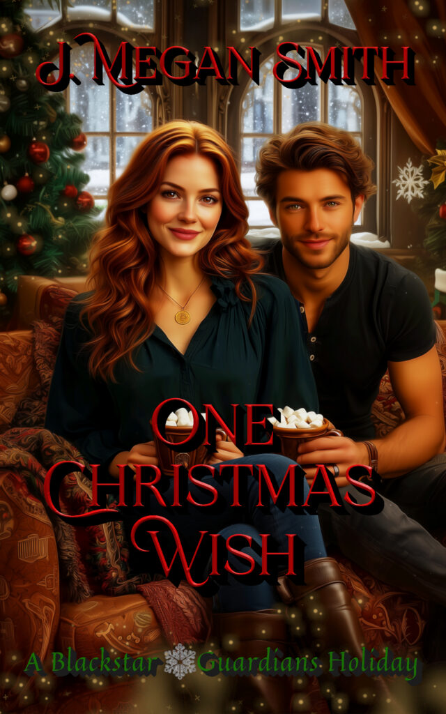One Christmas Wish